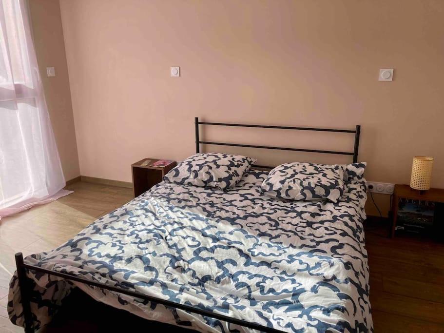 Quai Sud - Gare, 100 M2, Parking, Wifi, Superette, Lave Linge Angers Exterior foto
