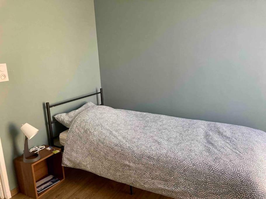 Quai Sud - Gare, 100 M2, Parking, Wifi, Superette, Lave Linge Angers Exterior foto